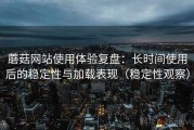 蘑菇网站使用体验复盘：长时间使用后的稳定性与加载表现（稳定性观察）