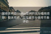 围绕茶杯狐cupfox官网的实际使用感想：整体观感、交互细节与使用节奏评价