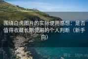 围绕白虎图片的实际使用感想：是否值得收藏长期使用的个人判断（新手向）