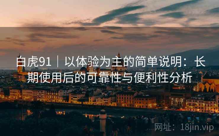 白虎91｜以体验为主的简单说明：长期使用后的可靠性与便利性分析