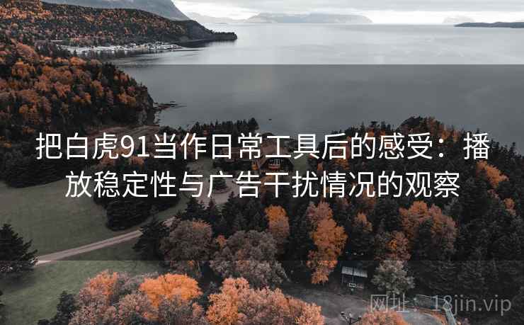 把白虎91当作日常工具后的感受：播放稳定性与广告干扰情况的观察