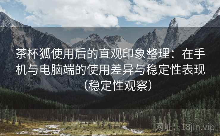 茶杯狐使用后的直观印象整理：在手机与电脑端的使用差异与稳定性表现（稳定性观察）