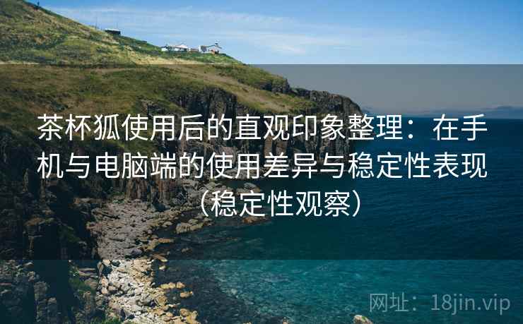茶杯狐使用后的直观印象整理：在手机与电脑端的使用差异与稳定性表现（稳定性观察）