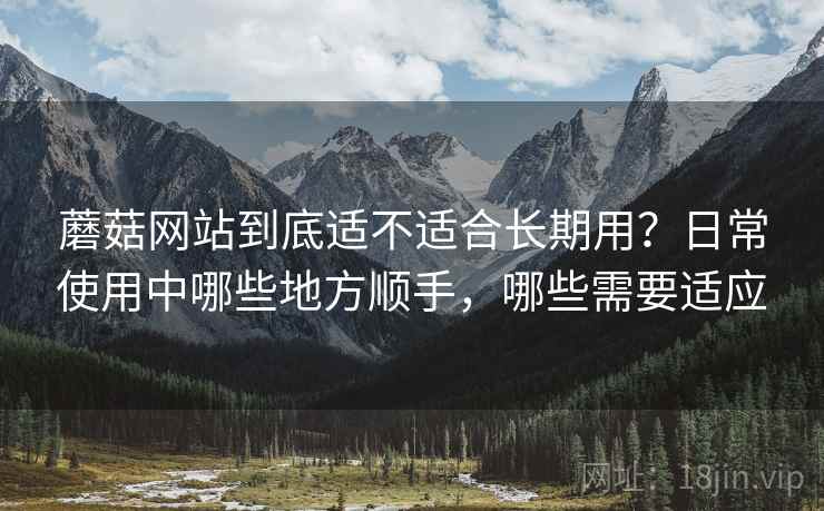 蘑菇网站到底适不适合长期用？日常使用中哪些地方顺手，哪些需要适应