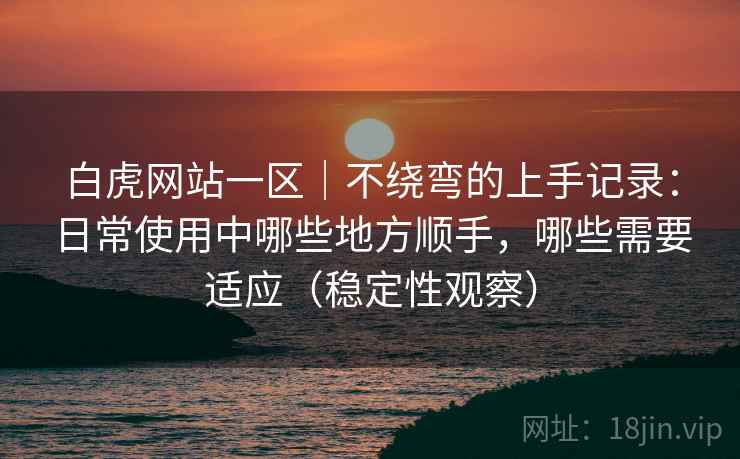 白虎网站一区|不绕弯的上手记录:日常使用中哪些地方顺手,哪些需要适应(稳定性观察) 白虎网站一区|不绕弯的上手记录:日常使用中哪些地方顺手,哪些需要适应(稳定性观察)